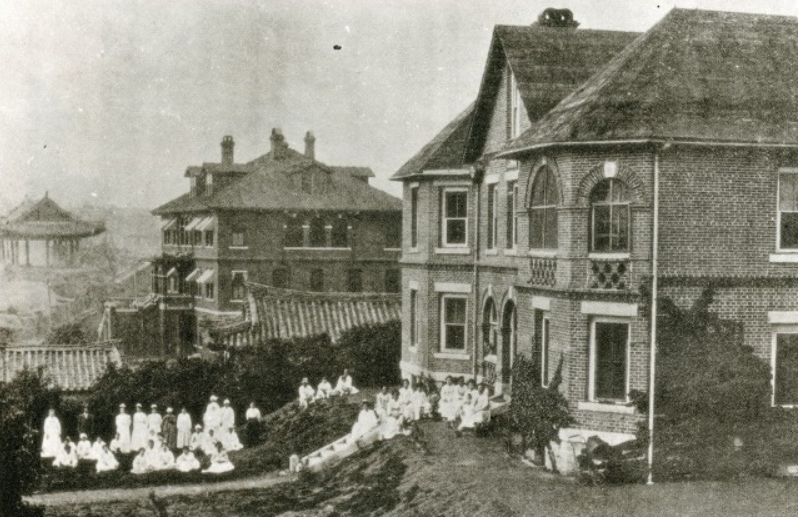 board image