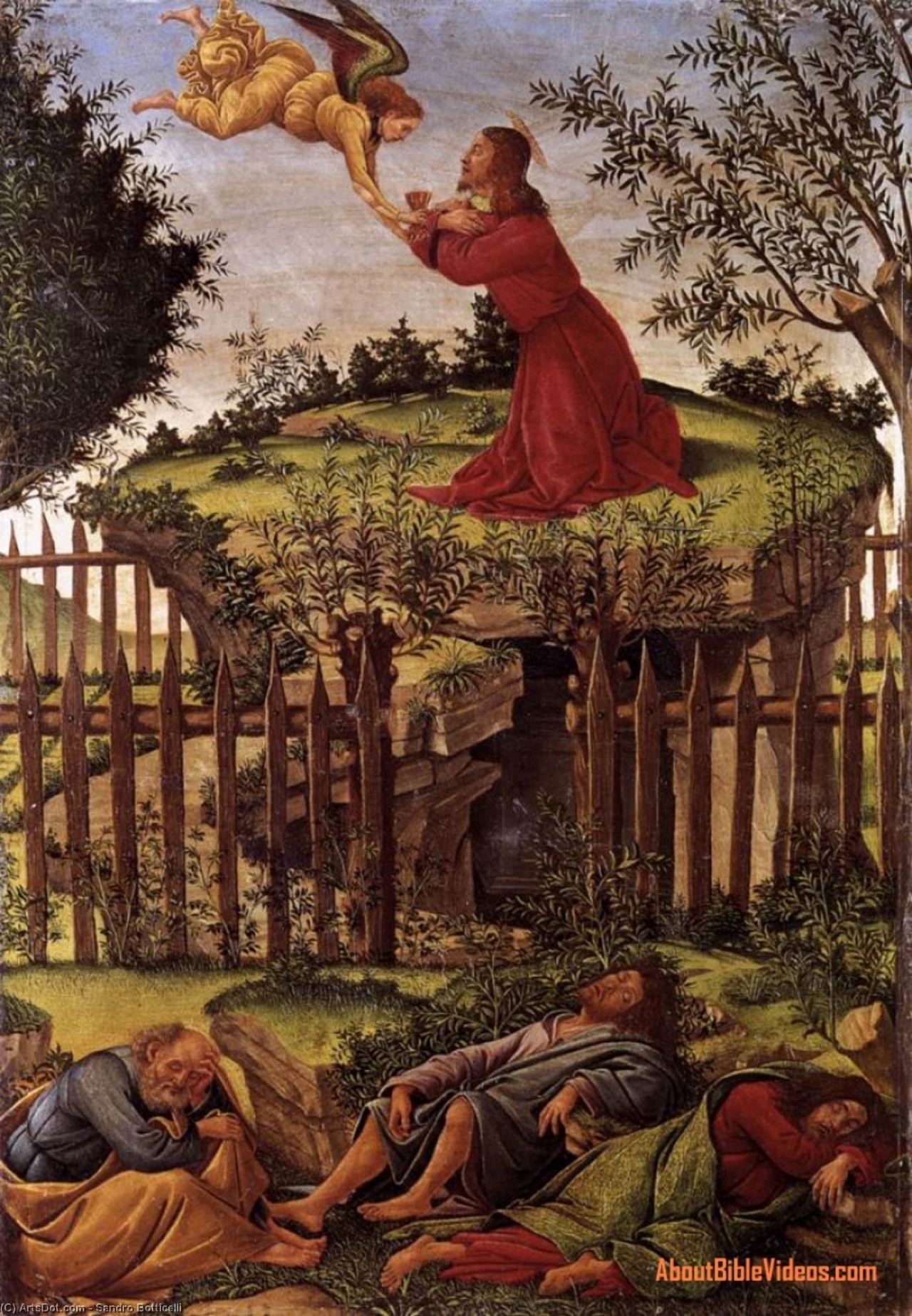 board image