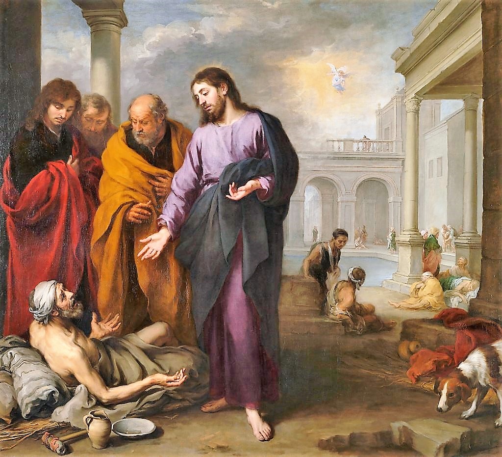 board image
