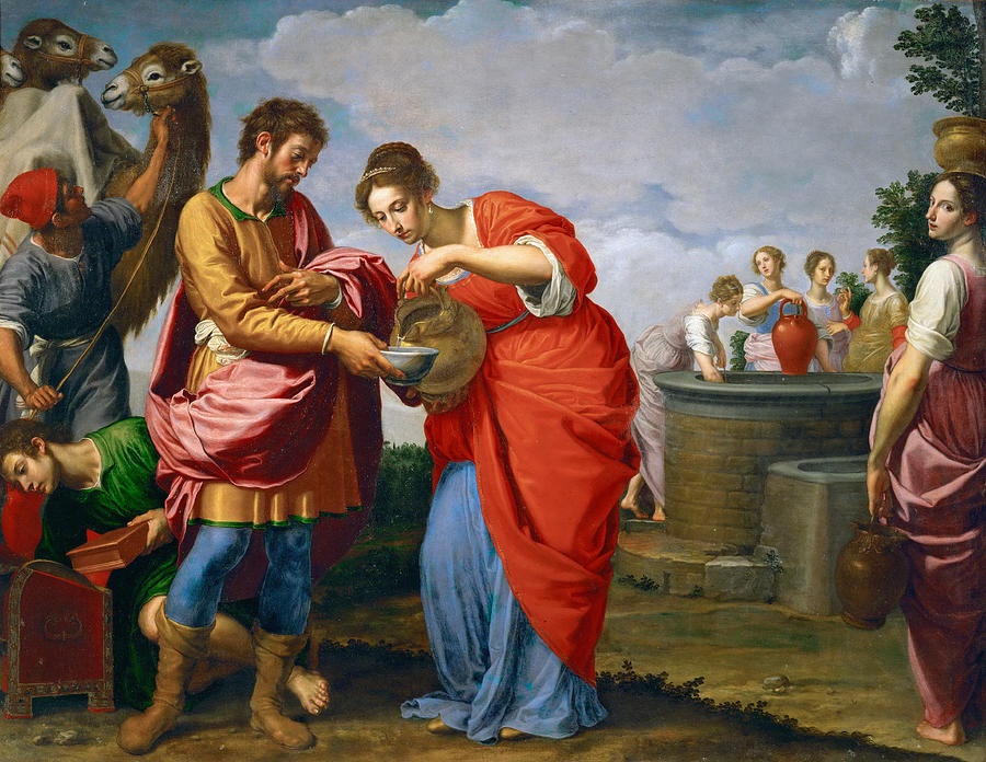board image