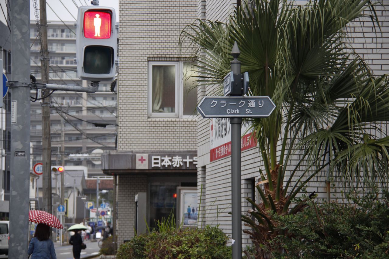 board image